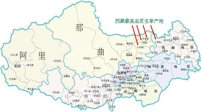 ��õĶ��x(ch��ng)�Ĳ�,��õĶ��x(ch��ng)�ĲݵĮa(ch��n)��,Ʒ�|(zh��)��Ѷ��x(ch��ng)�ĲݵĮa(ch��n)��,Ʒ�|(zh��)��ö��x(ch��ng)�ĲݵĮa(ch��n)��,���ض��x(ch��ng)�Ĳݵ���Ѯa(ch��n)��