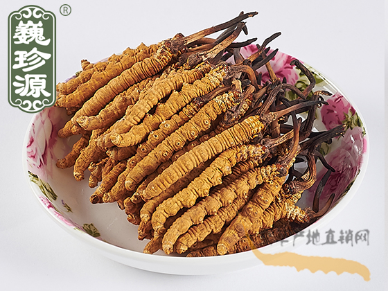 ���x�Ĳ݈DƬ���x�ݮa(ch��n)��ֱ�N�W(w��ng)���������x�Ĳ݈DƬ��Ρ��Դ���x�Ĳݵ������x����Ƭ�c�x�݈DƬ