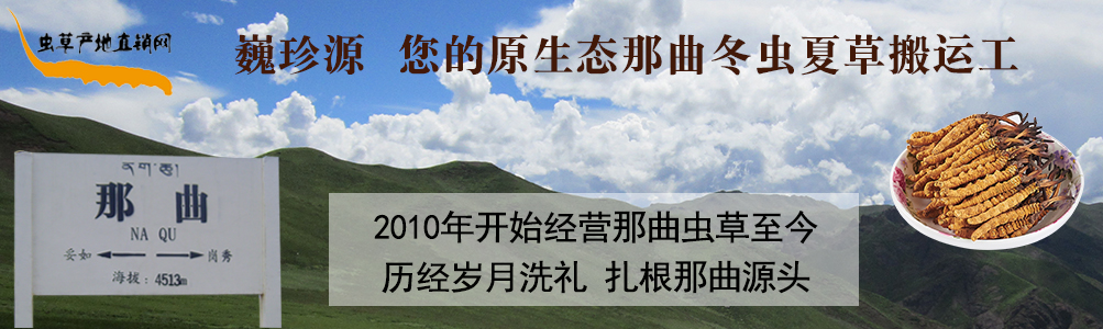 ���x(ch��ng)�Ĳ�,��B���������x(ch��ng)�ݡ����r�x(ch��ng)�ݺ��������r���x(ch��ng)�Ĳ�,���l(f��)�����x(ch��ng)�Ĳ݃r(ji��)��